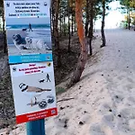 Batic Line - Sunny Place - Funny Place, Ze Slonecznym Ogrodkiem Na Wyspie Sobieszewskiej * Gdaňsk