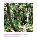 Batic Line - Sunny Place - Funny Place, Ze Slonecznym Ogrodkiem Na Wyspie Sobieszewskiej *