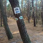 Apartmán Batic Line - Sunny Place - Funny Place, Ze Slonecznym Ogrodkiem Na Wyspie Sobieszewskiej *