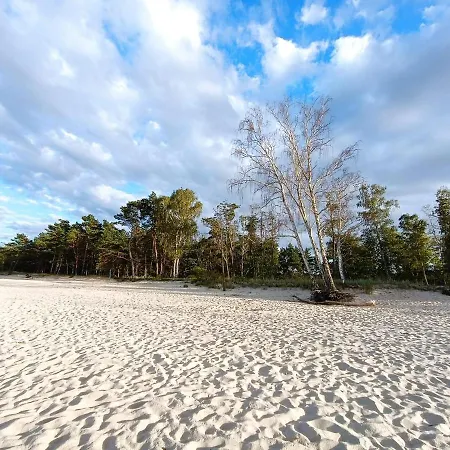 Sunny Place: Baltic With Garden On Sobieszewska Island Apartment *