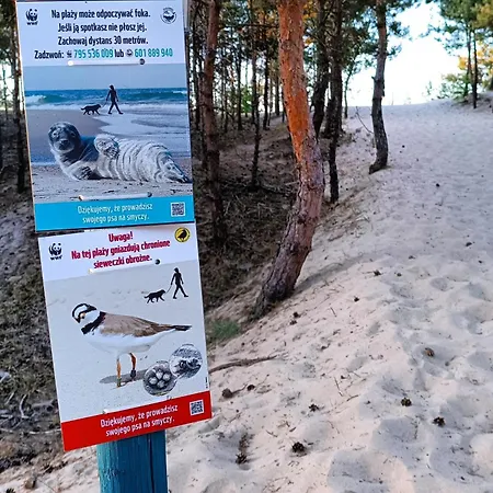 Batic Line - Sunny Place - Funny Place, Ze Slonecznym Ogrodkiem Na Wyspie Sobieszewskiej * Gdansk