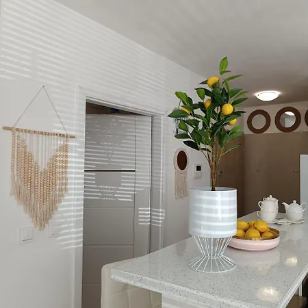 Batic Line - Sunny Place - Funny Place, Apartament Ze Slonecznym Ogrodkiem Na Wyspie Sobieszewskiej *