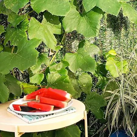 Appartamento Batic Line - Sunny Place - Funny Place, Ze Slonecznym Ogrodkiem Na Wyspie Sobieszewskiej *