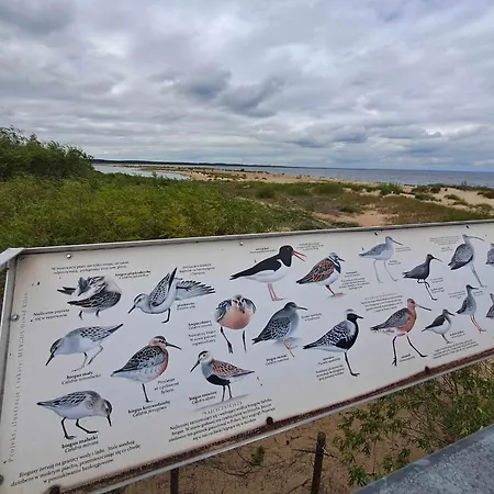 Batic Line - Sunny Place - Funny Place, Apartament Ze Slonecznym Ogrodkiem Na Wyspie Sobieszewskiej