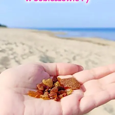 Апартаменты Sunny Place - Funny Place, Ze Slonecznym Ogrodkiem Na Wyspie Sobieszewskiej - Baltic Line *