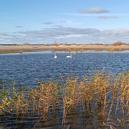 Sunny Place - Funny Place, Ze Slonecznym Ogrodkiem Na Wyspie Sobieszewskiej - Baltic Line דירה *