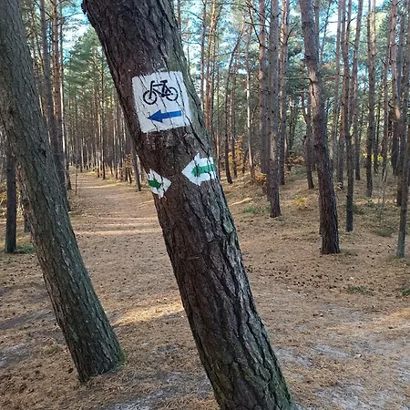 公寓 Batic Line - Sunny Place - Funny Place, Apartament Ze Slonecznym Ogrodkiem Na Wyspie Sobieszewskiej *