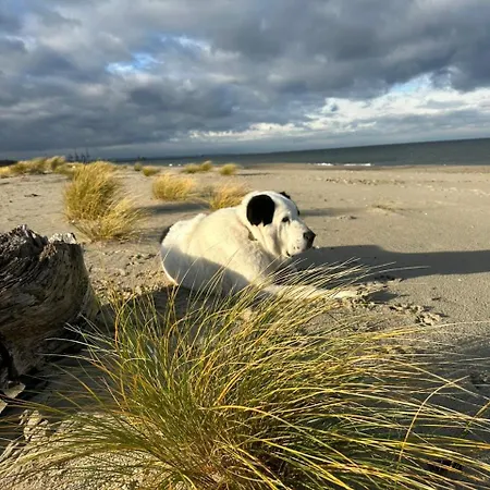 Batic Line - Sunny Place - Funny Place, Apartament Ze Slonecznym Ogrodkiem Na Wyspie Sobieszewskiej