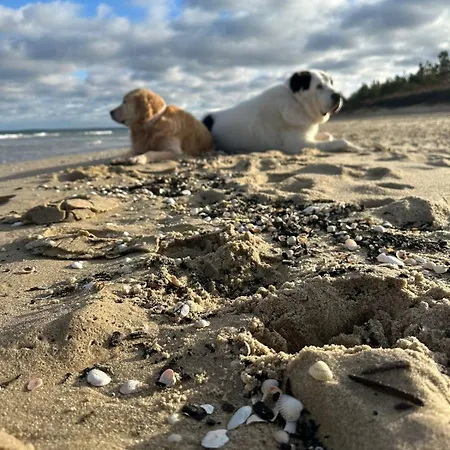 Batic Line - Sunny Place - Funny Place, Ze Slonecznym Ogrodkiem Na Wyspie Sobieszewskiej Appartamento