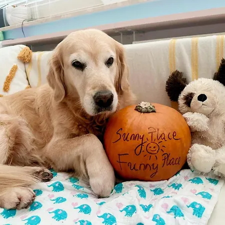 Daire Batic Line - Sunny Place - Funny Place, Ze Slonecznym Ogrodkiem Na Wyspie Sobieszewskiej Gdansk