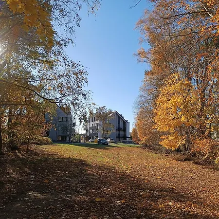 Sunny Place: Baltic With Garden On Sobieszewska Island *