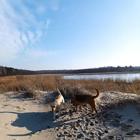 Sunny Place - Funny Place, Ze Slonecznym Ogrodkiem Na Wyspie Sobieszewskiej - Baltic Line *