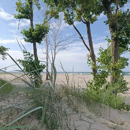 Sunny Place - Funny Place, Ze Slonecznym Ogrodkiem Na Wyspie Sobieszewskiej - Baltic Line Апартаменты Гданьск