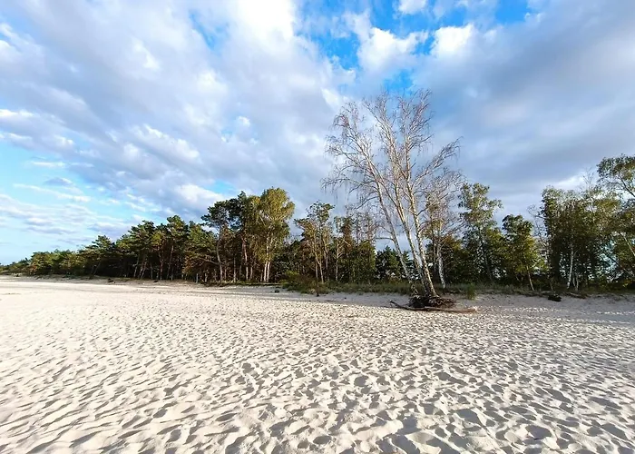 Sunny Place: Baltic With Garden On Sobieszewska Island Apartment *