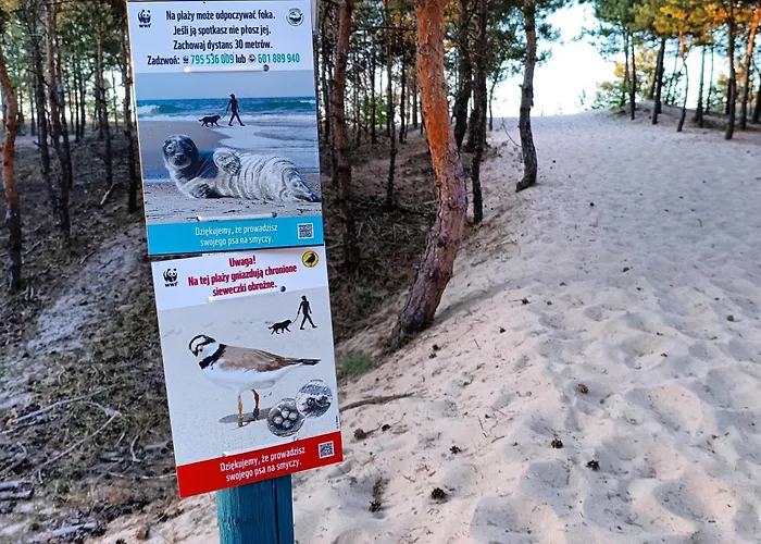 Batic Line - Sunny Place - Funny Place, Ze Slonecznym Ogrodkiem Na Wyspie Sobieszewskiej * Gdańsk