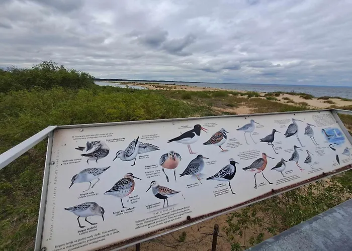 Batic Line - Sunny Place - Funny Place, Ze Slonecznym Ogrodkiem Na Wyspie Sobieszewskiej