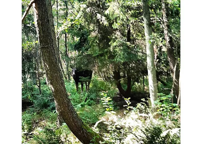 Sunny Place: Baltic With Garden On Sobieszewska Island *