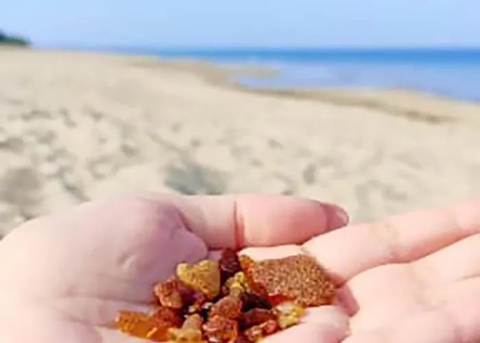 Apartment Sunny Place: Baltic With Garden On Sobieszewska Island *