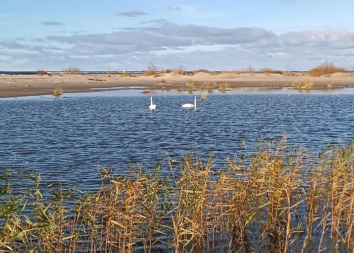 Batic Line - Sunny Place - Funny Place, Ze Slonecznym Ogrodkiem Na Wyspie Sobieszewskiej דירה *