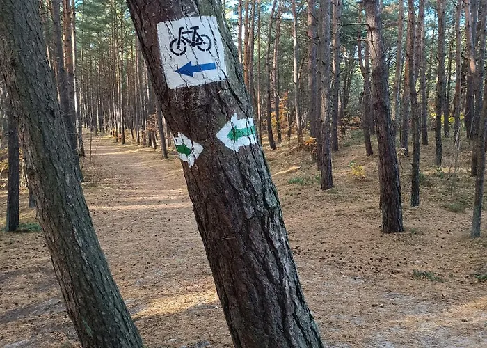 Apartman Batic Line - Sunny Place - Funny Place, Ze Slonecznym Ogrodkiem Na Wyspie Sobieszewskiej *