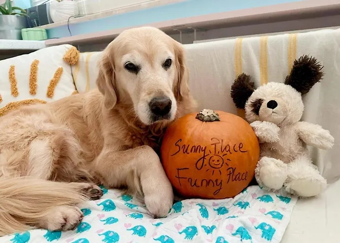 דירה Batic Line - Sunny Place - Funny Place, Ze Slonecznym Ogrodkiem Na Wyspie Sobieszewskiej גדנסק