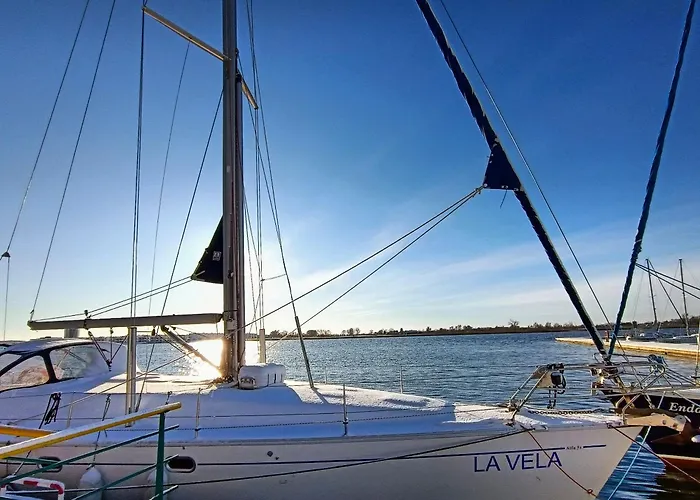 Sunny Place: Baltic With Garden On Sobieszewska Island Apartment