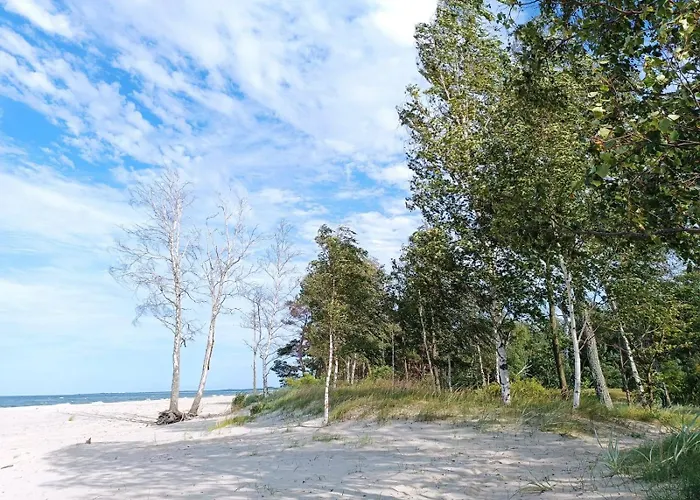 Apartman Batic Line - Sunny Place - Funny Place, Ze Slonecznym Ogrodkiem Na Wyspie Sobieszewskiej *