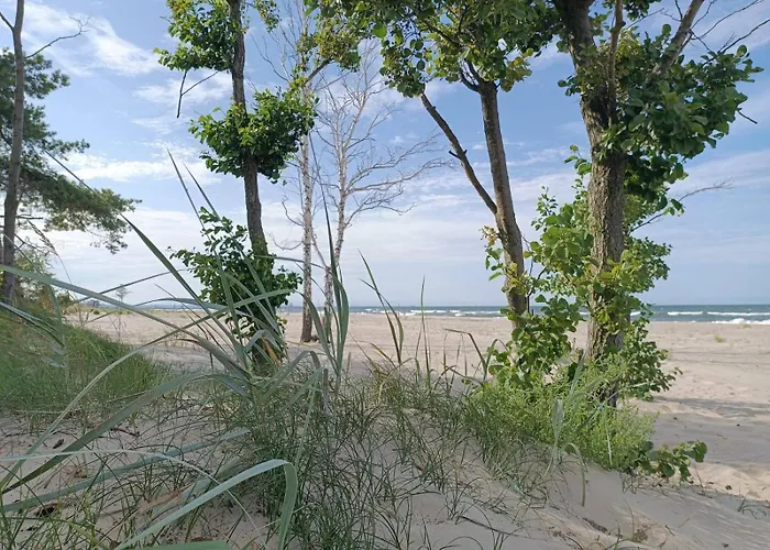 Sunny Place: Baltic With Garden On Sobieszewska Island Apartment Gdansk