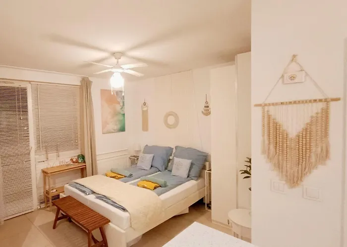 Batic Line - Sunny Place - Funny Place, Ze Slonecznym Ogrodkiem Na Wyspie Sobieszewskiej * גדנסק