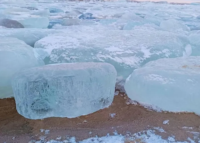 Batic Line - Sunny Place - Funny Place, Ze Slonecznym Ogrodkiem Na Wyspie Sobieszewskiej Gdańsk