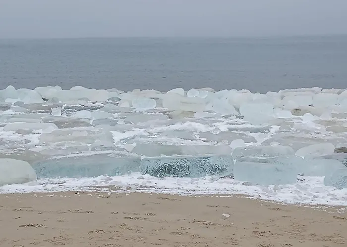 Batic Line - Sunny Place - Funny Place, Ze Slonecznym Ogrodkiem Na Wyspie Sobieszewskiej *