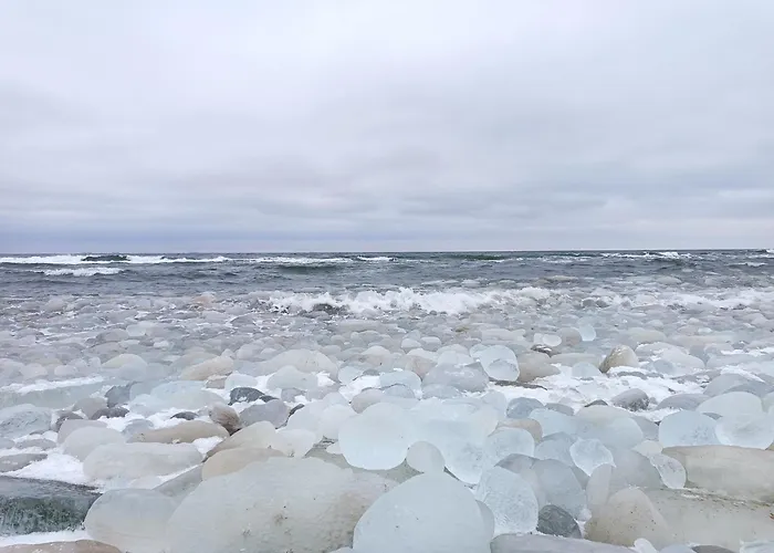 Batic Line - Sunny Place - Funny Place, Ze Slonecznym Ogrodkiem Na Wyspie Sobieszewskiej גדנסק