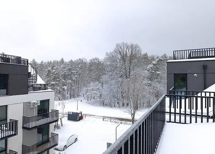 Batic Line - Sunny Place - Funny Place, Ze Slonecznym Ogrodkiem Na Wyspie Sobieszewskiej Gdańsk