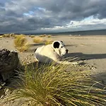 Sunny Place - Funny Place, Ze Słonecznym Ogródkiem Na Wyspie Sobieszewskiej - Baltic Line